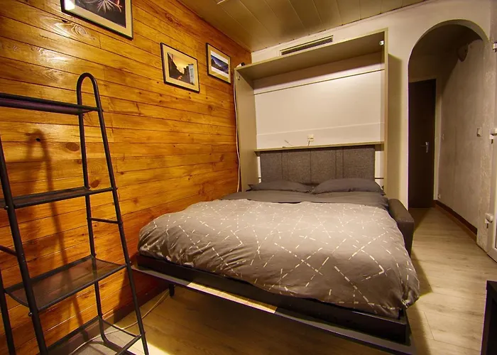 T1 Situe A 100 M Des Thermes *