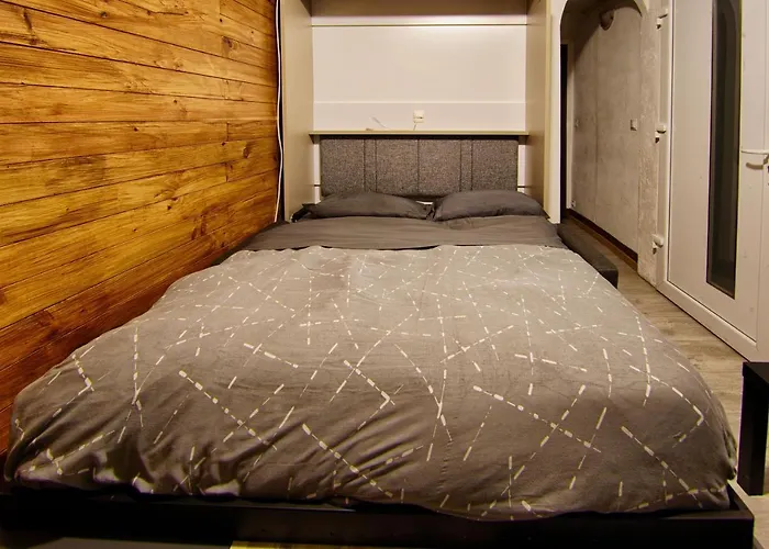 T1 Situe A 100 M Des Thermes * Aix-les-Bains